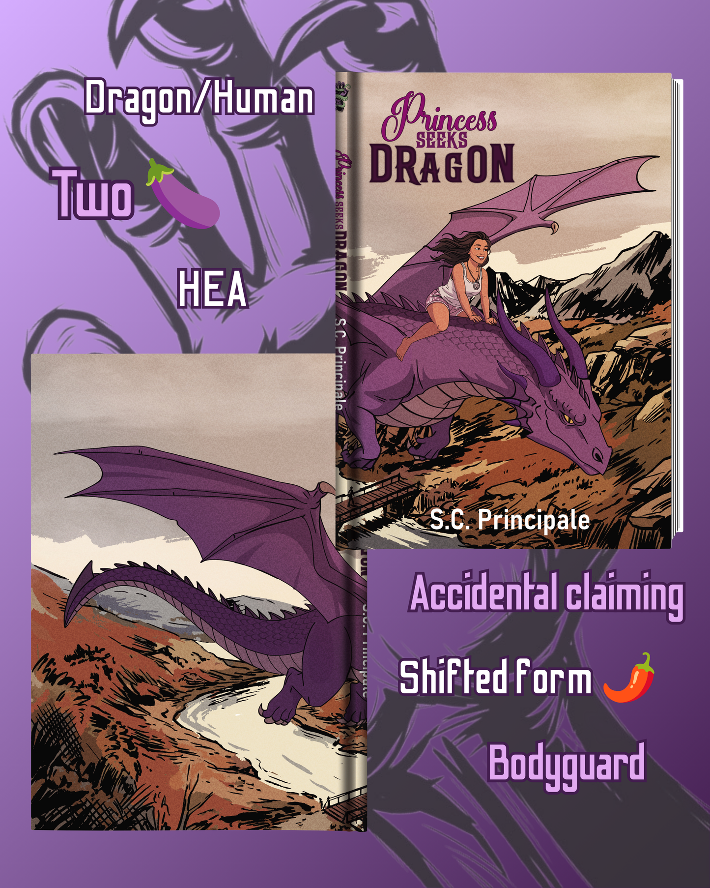 S.C. Principale Kickstarter Overstock